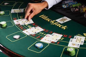79bet15